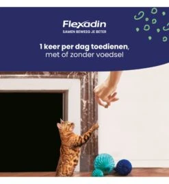 Flexadin Cat - 60 Chews -Dieren Product Winkel flexadin cat 60 chews 1