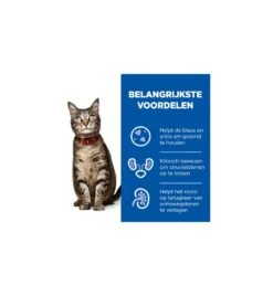 Hill's PD C/D Multicare Urinary Care Stoofpotje Met Kip & Groente - 24 X 82 Gram -Dieren Product Winkel hill s pd cd multicare urinary care stoofpotje met kip groente 24 x 82 gram 3