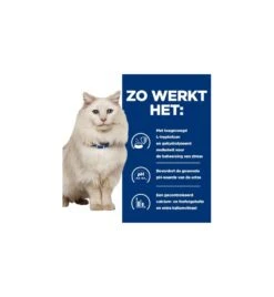 Hill's PD C/D Urinary Care Stress Stoofpotje Met Kip & Groente - 24 X 82 Gram -Dieren Product Winkel hill s pd cd urinary stress urinary care stoofpotje met kip groente 24 x 82 gram 3