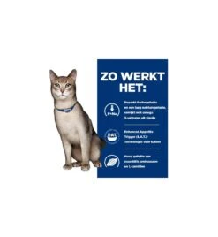 Hill's Prescription Diet K/D Kidney Care Met Tonijn - 1.5 Kg -Dieren Product Winkel hill s prescription diet kd kidney care met tonijn 3