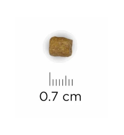 Hill's Prescription Diet L/D Liver Care - 1.5 Kg -Dieren Product Winkel hill s prescription diet ld liver care 15 kg 1