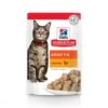 Hill's Science Plan Adult Maaltijdzakjes Met Kip - 12 X 85 Gram -Dieren Product Winkel hill s science plan adult maaltijdzakjes met kip 12 x 85 gram