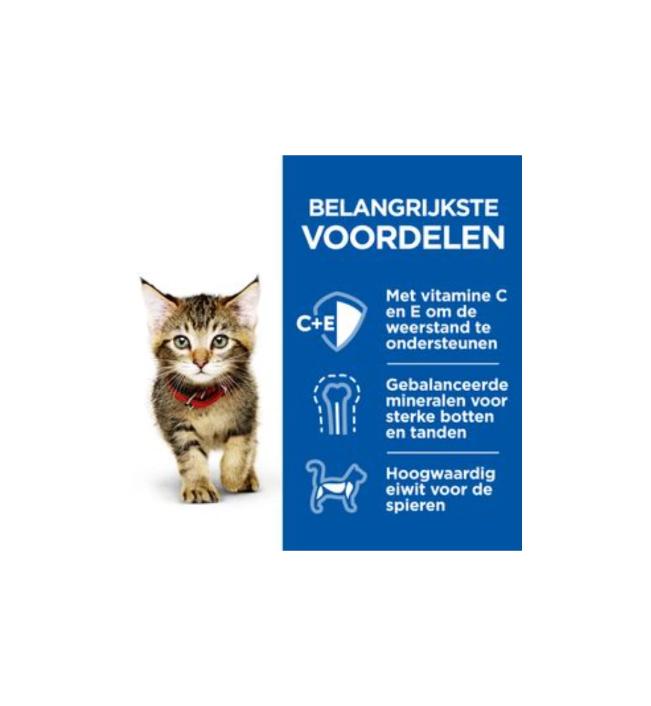 Hill's Science Plan Healthy Cuisine Kitten Stoofpotje Kip & Zeevis - 4 X 12 X 80 Gram 4 Hill's Science Plan Healthy Cuisine Kitten Stoofpotje Kip & Zeevis - 4 X 12 X 80 Gram - Afbeelding 2