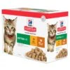 Hill's Science Plan Kitten Maaltijdzakjes Kip & Kalkoen - 4 X 12 X 85 Gram -Dieren Product Winkel hill s science plan kitten maaltijdzakjes kip kalkoen 4 x 12 x 85 gram