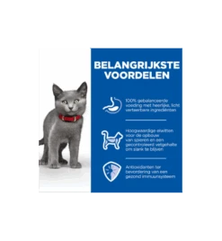 Hill's Science Plan Sterilised Kitten Met Kip -Dieren Product Winkel hill s science plan sterilised kitten met kip 3