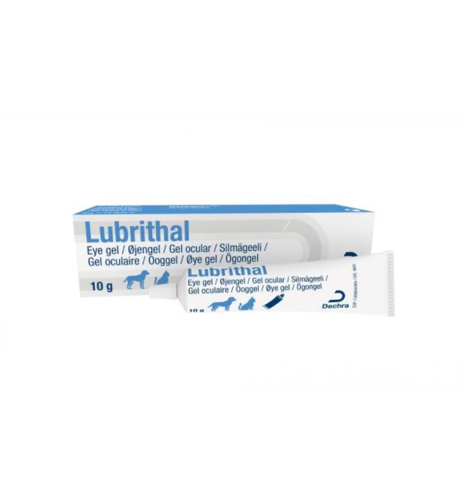 Lubrithal Ooggel - 10 Gram 3 Lubrithal Ooggel - 10 Gram
