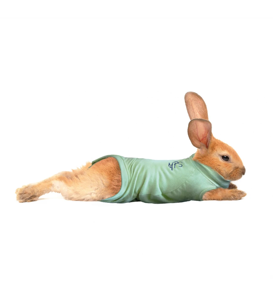 Medical Pet Shirt (Konijn) 4 Medical Pet Shirt (Konijn) - Afbeelding 2