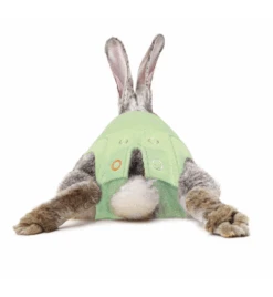 Medical Pet Shirt (Konijn) 7 Medical Pet Shirt (Konijn) -Dieren Product Winkel medical pet shirt konijn groen 2