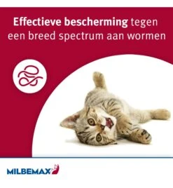 Milbemax Kleine Kat / Kitten 8 Milbemax Kleine Kat / Kitten -Dieren Product Winkel milbemax kleine kat kitten 1
