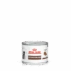 Royal Canin Gastro Intestinal Kitten Blik - 12 X 195 Gram -Dieren Product Winkel royal canin gastro intestinal kitten blik 12 x 195 gram