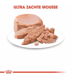 Royal Canin Mother & Babycat Mousse - 12 X 195 Gram -Dieren Product Winkel royal canin mother babycat mousse 12 x 195 gram 2