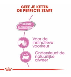 Royal Canin Mother & Babycat Mousse - 12 X 195 Gram -Dieren Product Winkel royal canin mother babycat mousse 12 x 195 gram 3