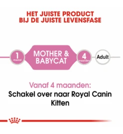 Royal Canin Mother & Babycat Mousse - 12 X 195 Gram -Dieren Product Winkel royal canin mother babycat mousse 12 x 195 gram 4