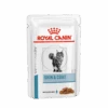 Royal Canin Skin & Coat Portie - 12 X 85 Gram 1 Royal Canin Skin & Coat Portie - 12 X 85 Gram -Dieren Product Winkel royal canin skin coat portie 12 x 85 gram