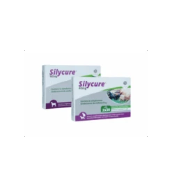 Silycure 160 Mg - 30 Tabletten 7 Silycure 160 Mg - 30 Tabletten -Dieren Product Winkel silycure 160 mg 30 tabletten 2