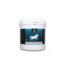 Synovium Clay & Cool