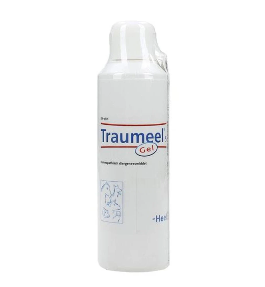 Traumeel S Gel - 250 Gram 3 Traumeel S Gel - 250 Gram