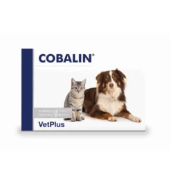 VetPlus Cobalin - 60 Capsules -Dieren Product Winkel vetplus cobalin 60 capsules 2