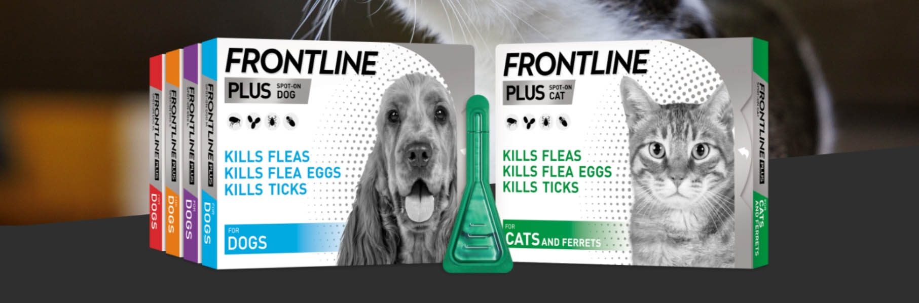 Dieren Product Winkel -Dieren Product Winkel azsdsd